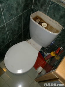 专业维修，全心服务——百能达工程公司全方位工程解决方案